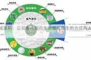 金城医药：公司重点面向生物催化和生物合成两大方向