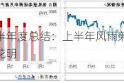 热轧板卷半年度总结：上半年风雨兼程，下半年或柳暗花明