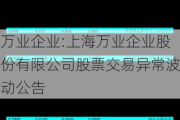 万业企业:上海万业企业股份有限公司股票交易异常波动公告