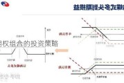 外汇期权组合的投资策略