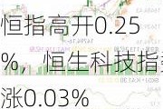 恒指高开0.25%，恒生科技指数涨0.03%