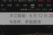 丰立智能：6 月 12 日 20%涨停，多股跟涨