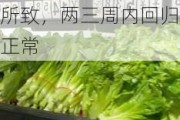 菠菜、小葱10元/斤！多地蔬菜价格飞涨，专家：高温多雨所致，两三周内回归正常