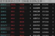 建筑板块异动拉升 招标股份20%涨停