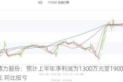 德力股份：预计上半年净利润为1300万元至1900万元 同比扭亏