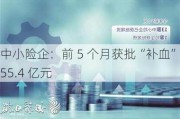 中小险企：前 5 个月获批“补血”255.4 亿元