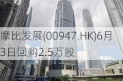 摩比发展(00947.HK)6月3日回购2.5万股