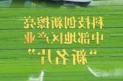 展示绿色低碳、新能源等技术……东博会专题“焕新”！