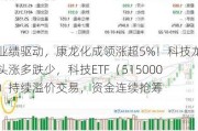 业绩驱动，康龙化成领涨超5%！科技龙头涨多跌少，科技ETF（515000）持续溢价交易，资金连续抢筹