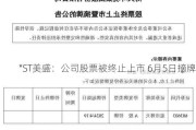 *ST美盛：公司股票被终止上市 6月5日摘牌