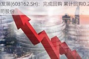 海通发展(603162.SH)：完成回购 累计回购0.22%公司股份