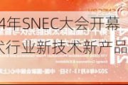 2024年SNEC大会开幕 光伏行业新技术新产品集中亮相