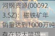 河钢资源(000923.SZ)：磁铁矿年销量达到1000万吨存在较大障碍