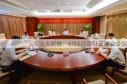 远大控股：6月6日召开董事会会议