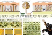 国际首次！我国科学家研制出超真实电子皮肤，可感知压力、摩擦力