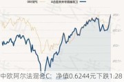 中欧阿尔法混合C：净值0.6244元下跌1.28%，近6个月收益率为-4.39%