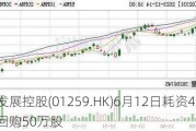 未来发展控股(01259.HK)6月12日耗资4.06万港元回购50万股