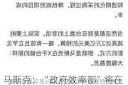 马斯克：“政府效率部”将在网上公布所有行动，会设“最蠢支出”排行榜