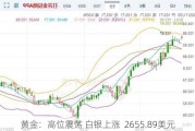 黄金：高位震荡 白银上涨  2655.89美元