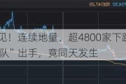 A股罕见！连续地量、超4800家下跌和“国家队”出手，竟同天发生