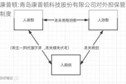 康普顿:青岛康普顿科技股份有限公司对外担保管理制度