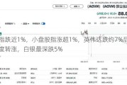 纳指跌近1%，小盘股指涨超1%，英伟达跌约7%后一度转涨，白银最深跌5%