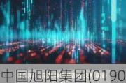 中国旭阳集团(01907.HK)6月26日耗资222.76万港元回购74.7万股