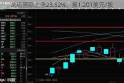 龙运国际上涨23.52%，报1.201美元/股