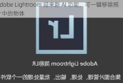 Adobe Lightroom 迎来新 AI 功能，可一键移除照片中的物体