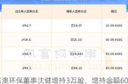 嘉澳环保董事沈健增持3万股，增持金额60.78万元