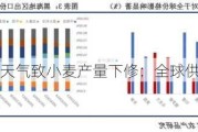 俄罗斯极端天气致小麦产量下修：全球供应担忧加剧