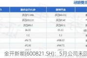 金开新能(600821.SH)：5月公司未回购股份