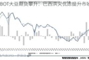 CBOT大豆期货攀升：巴西洪灾忧虑提升市场信心