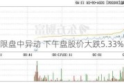 思享无限盘中异动 下午盘股价大跌5.33%