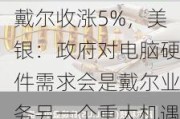 戴尔收涨5%，美银：政府对电脑硬件需求会是戴尔业务另一个重大机遇