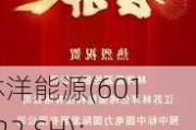 林洋能源(601222.SH)：子公司与沙特ECC公司签署智能电表项目的供货合同