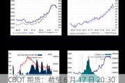 CBOT 期货：截至 6 月 17 日 20:30 各品种涨跌情况