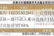 神马电力（603530.SH）：公司控股股东及其一致行动人累计质押1.1亿股 占所持公司股份30.94%