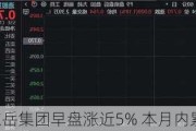 东岳集团早盘涨近5% 本月内累计涨超43%