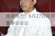 桂冠电力：6月27日召开董事会会议