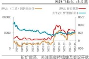 铅价震荡，关注资金持续性及会议干扰