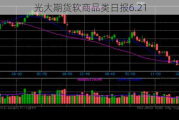 光大期货软商品类日报6.21