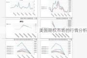 美国期权市场的行情分析