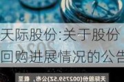 天际股份:关于股份回购进展情况的公告