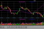 光大期货：5月20日软商品日报