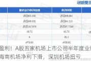 均实现盈利！A股五家机场上市公司半年度业绩预告出炉：海南机场净利下滑，深圳机场扭亏