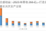 合盛硅业：2023 年营收 266 亿，打造全球最长光伏全产业链