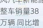 今年上半年东风汽车新能源整车销量38万辆 同比增长118.4%