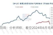 白羽鸡：分析师称，看空2024年6月毛鸡价格