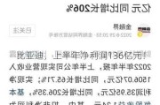 比亚迪，上半年净利润136亿元！